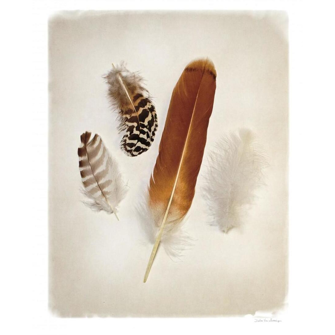 Feather Group I -Paper Art-30&quotx37"