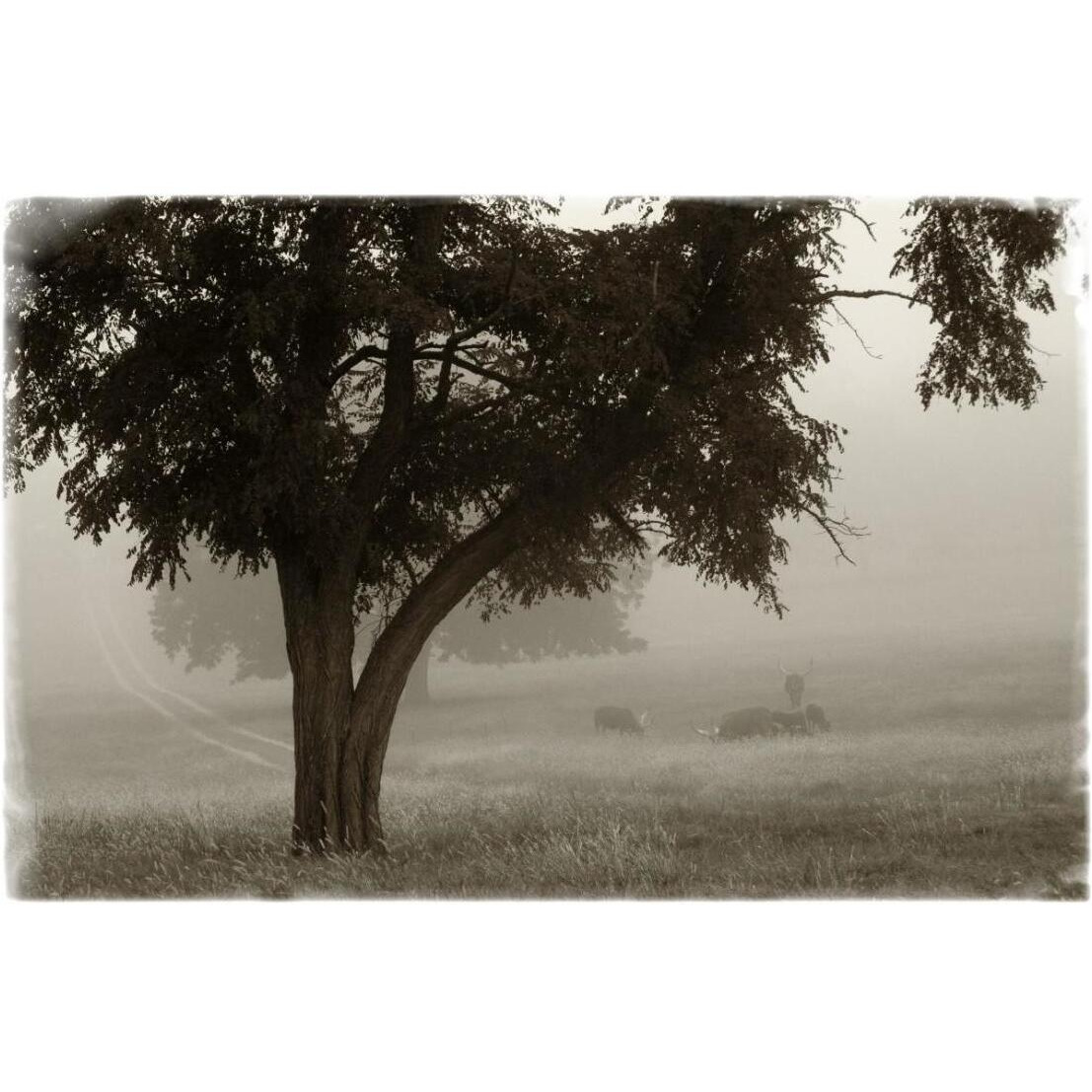 Calm Mist -Paper Art-26&quotx18"