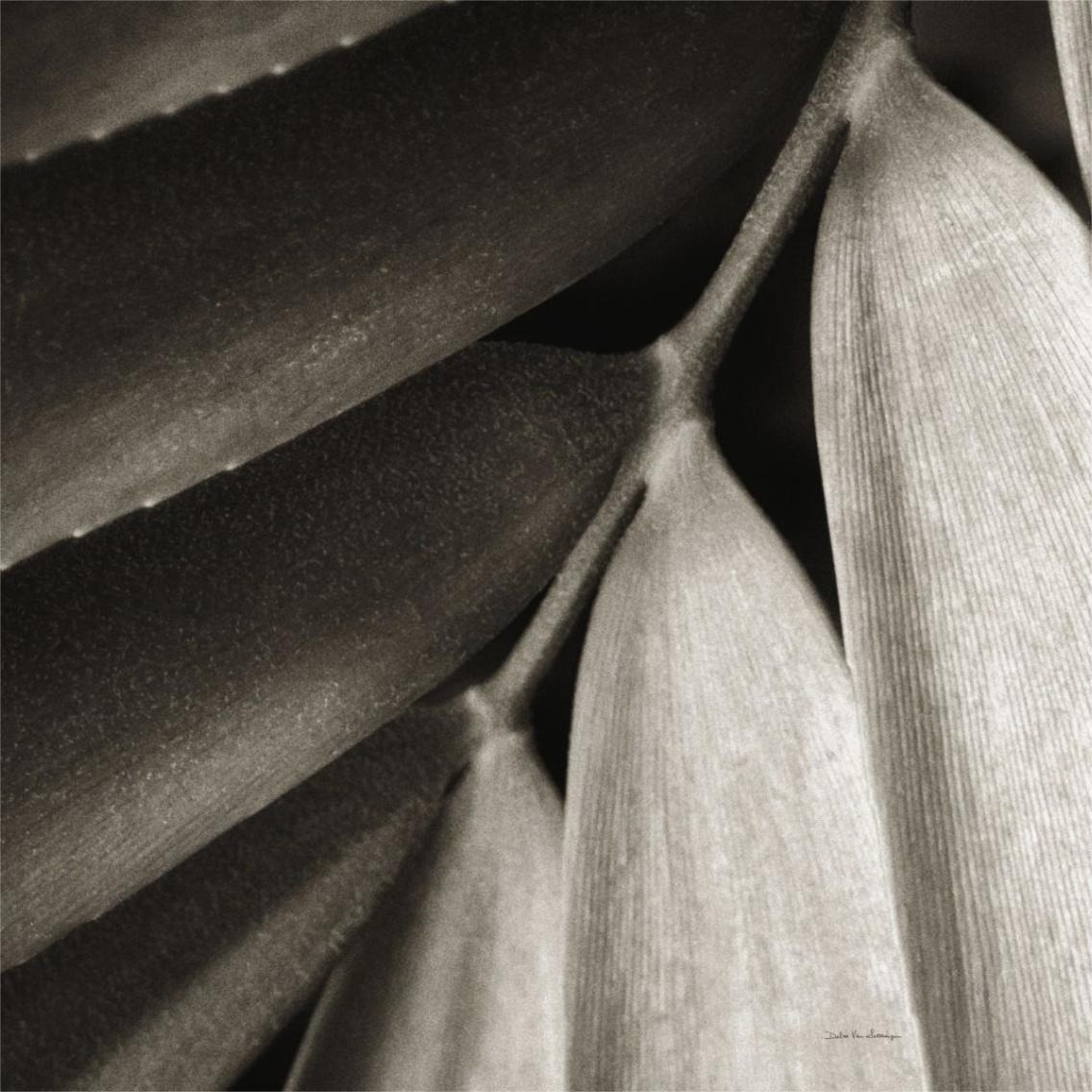 Tropical Plant II -Paper Art-38&quotx38"