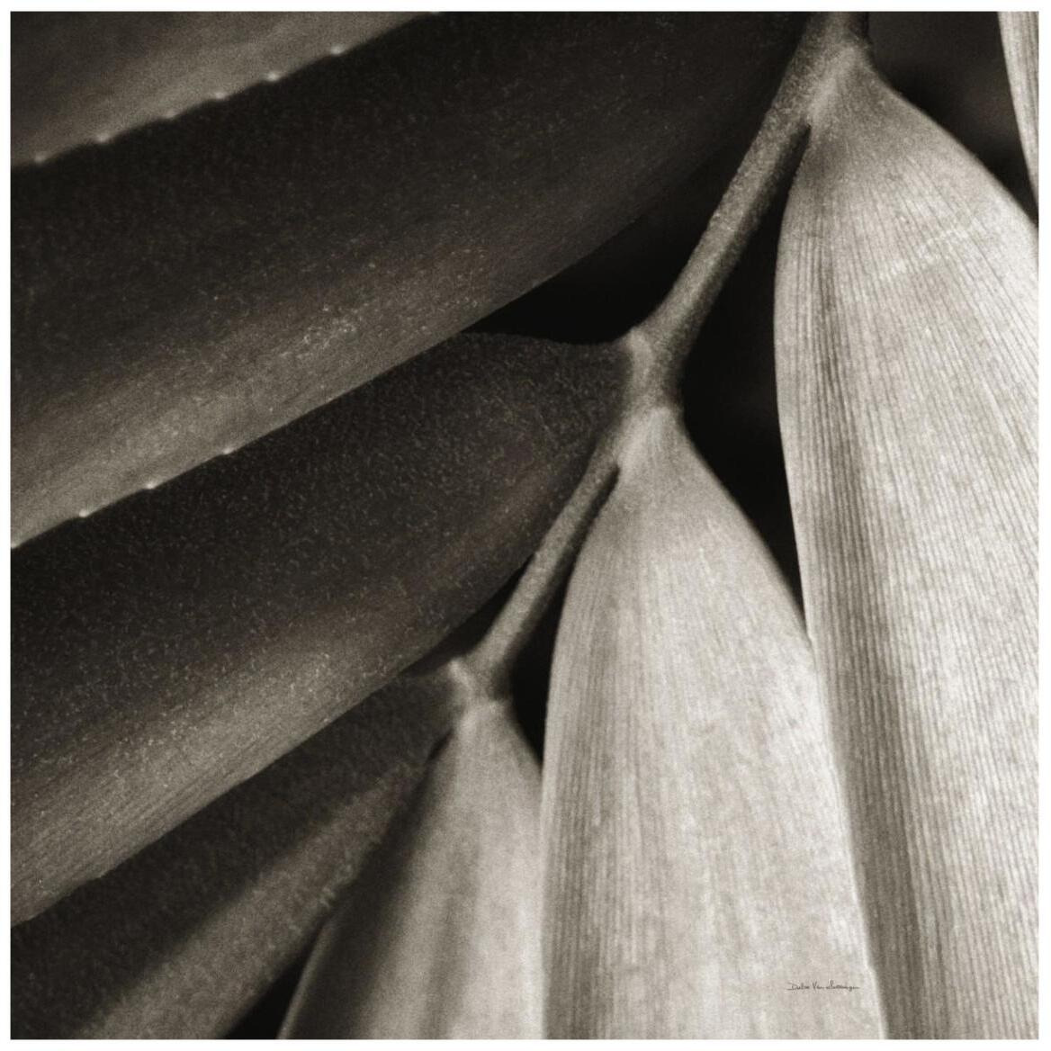Tropical Plant II -Paper Art-42&quotx42"