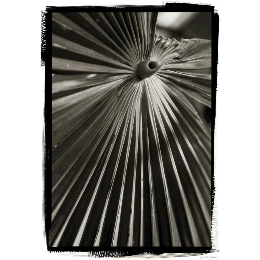 Palm Frond I -Paper Art-17.4&quotx24"