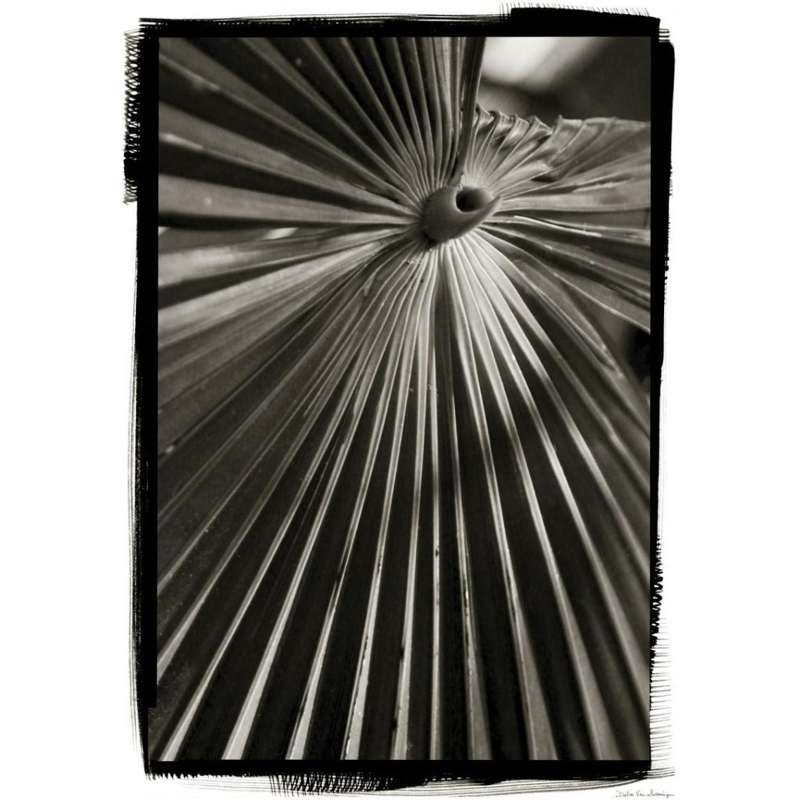 Palm Frond I -Paper Art-27.2&quotx38"