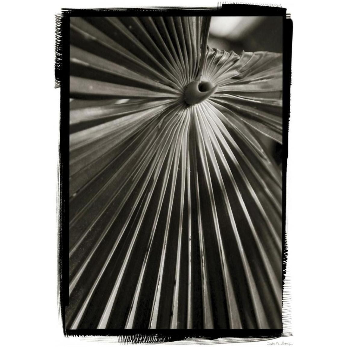 Palm Frond I -Paper Art-32.8&quotx46"