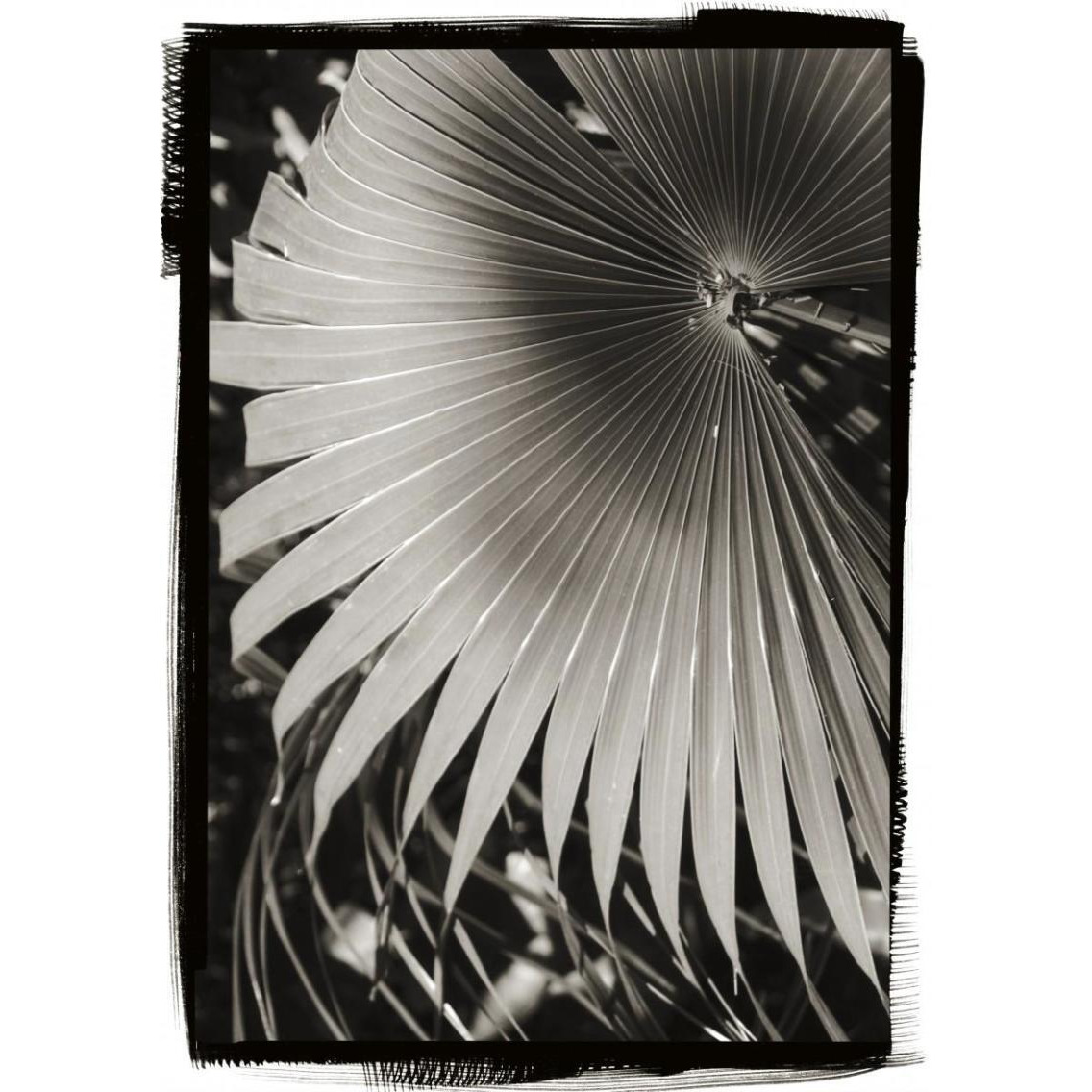 Palm Frond II -Paper Art-27.56&quotx38"