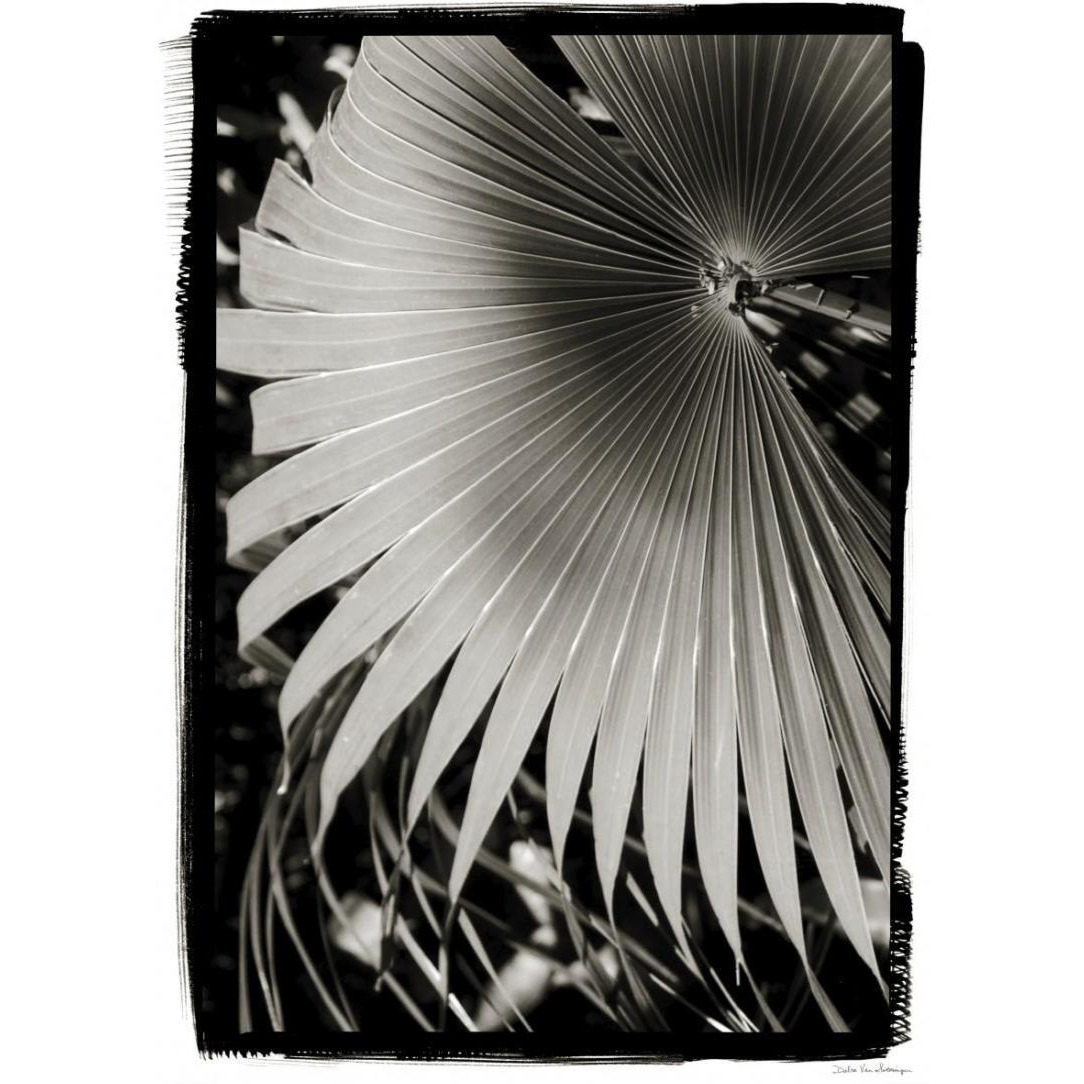 Palm Frond II v2 -Paper Art-17.4&quotx24"