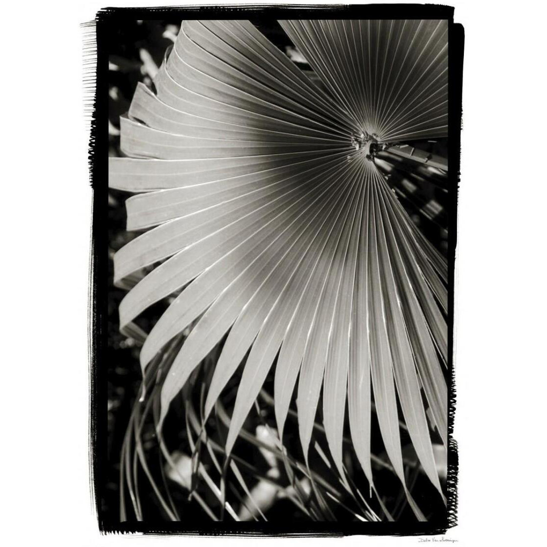 Palm Frond II v2 -Paper Art-23&quotx32"