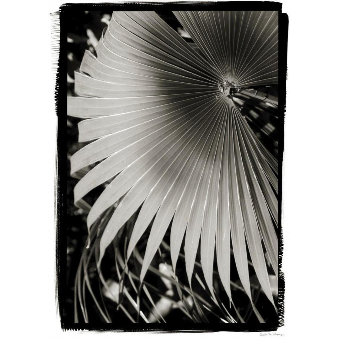 Palm Frond II v2 -Paper Art-27.2&quotx38"