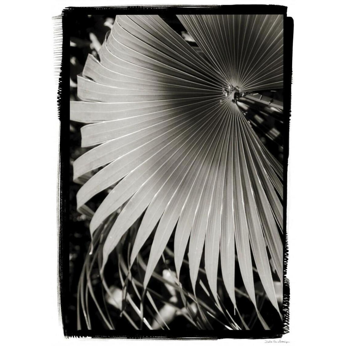 Palm Frond II v2 -Paper Art-30&quotx42"