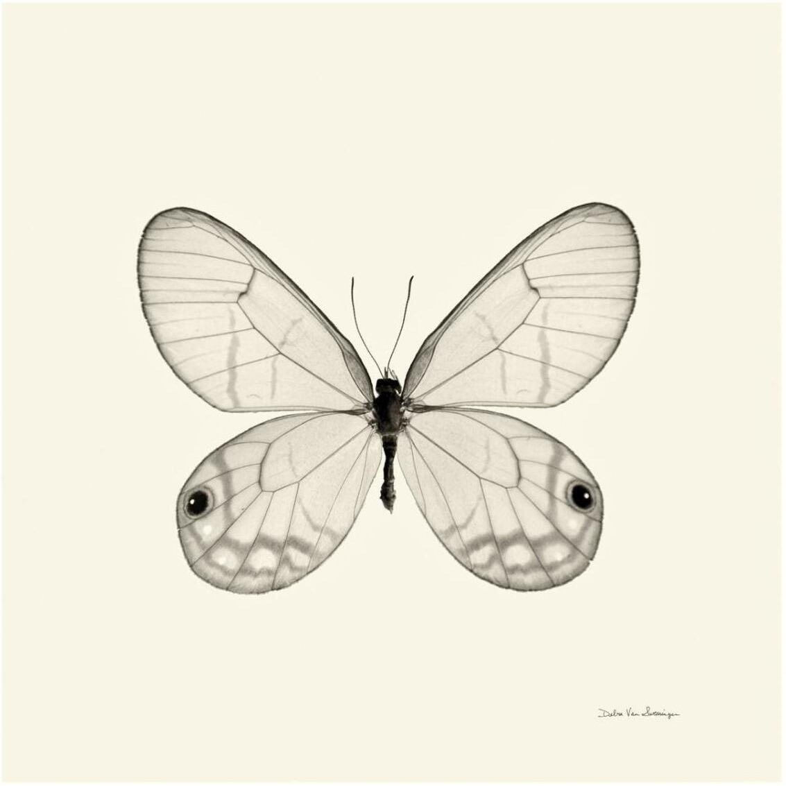 Butterfly I - BW -Paper Art-32&quotx32"