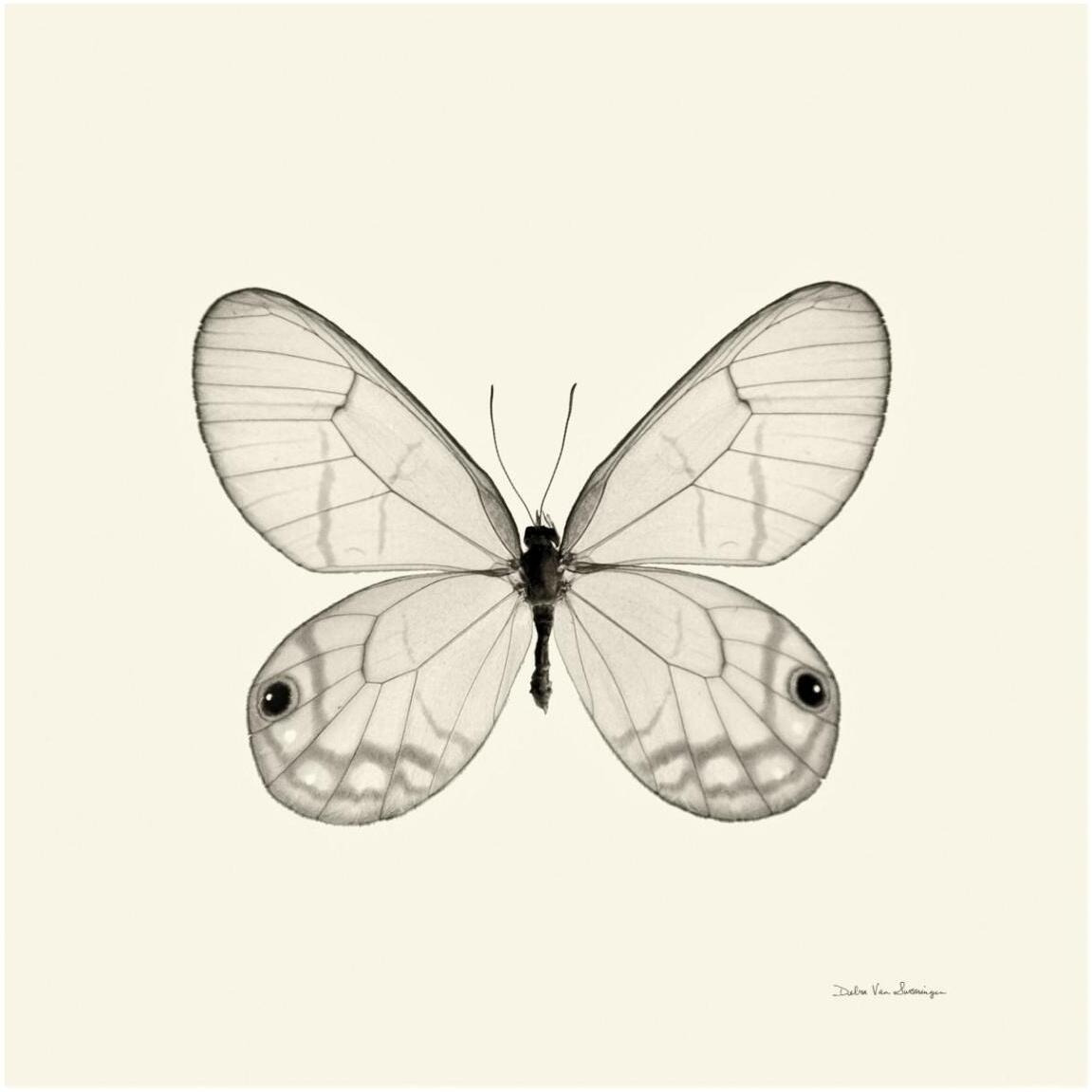 Butterfly I - BW -Paper Art-42&quotx42"