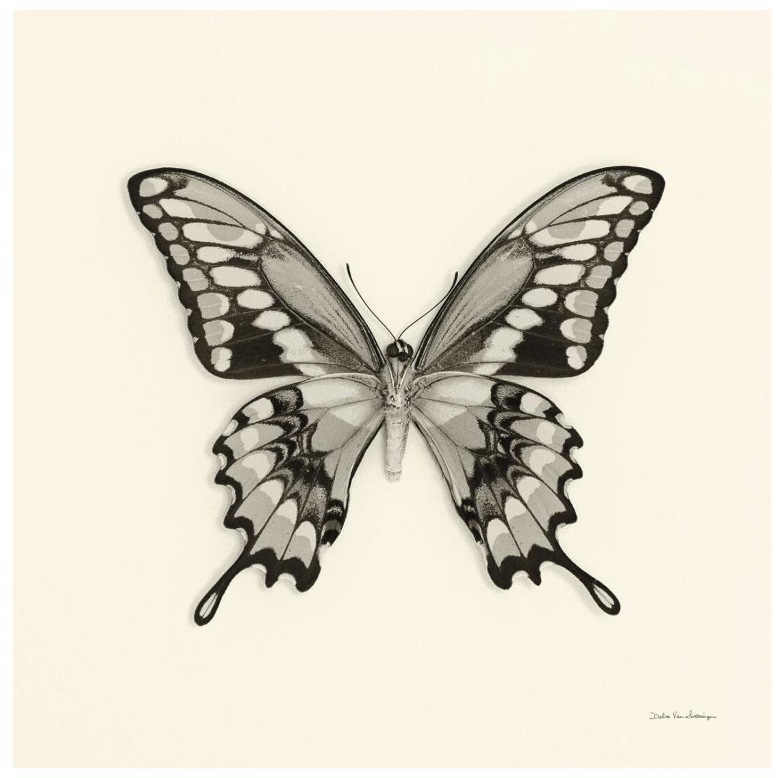 Butterfly VI - BW -Paper Art-26&quotx26"