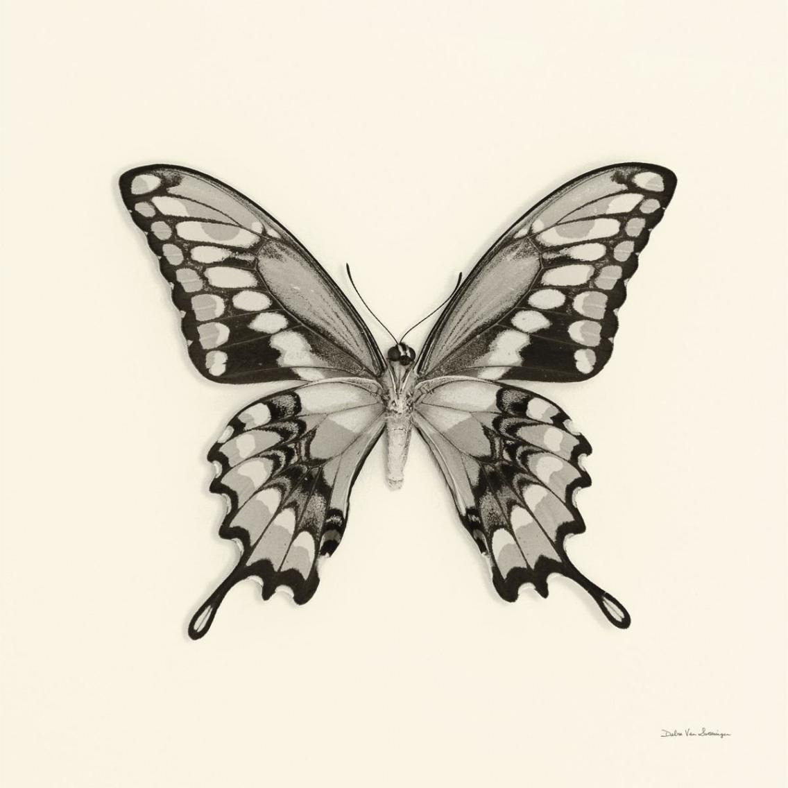 Butterfly VI - BW -Paper Art-38&quotx38"