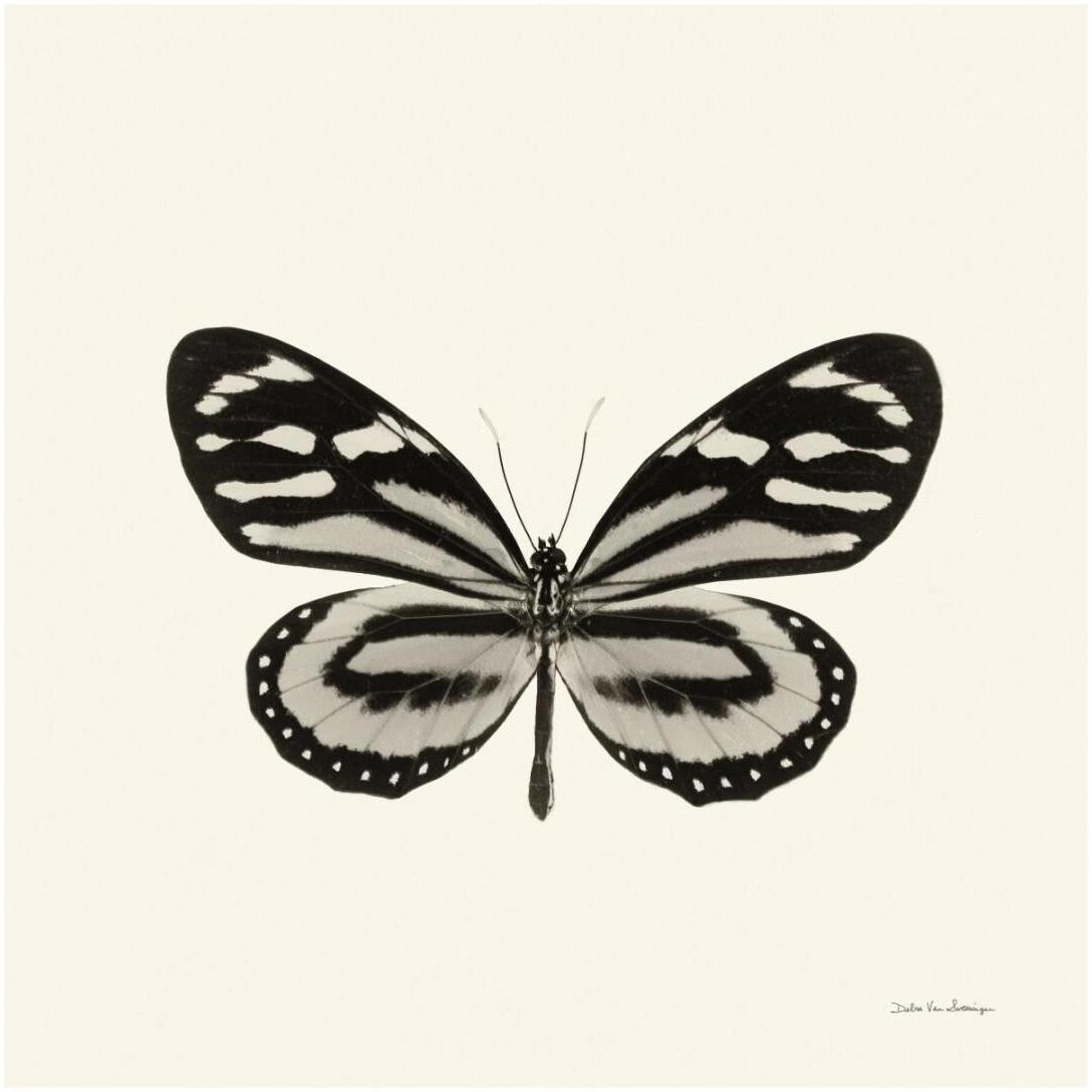 Butterfly VIII - BW -Paper Art-20&quotx20"