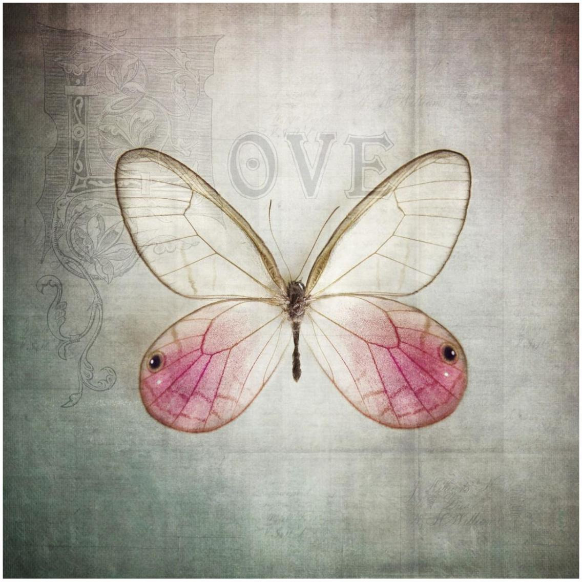 French Butterfly I -Paper Art-32&quotx32"