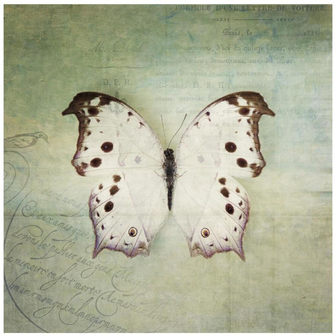 French Butterfly IV -Paper Art-26&quotx26"