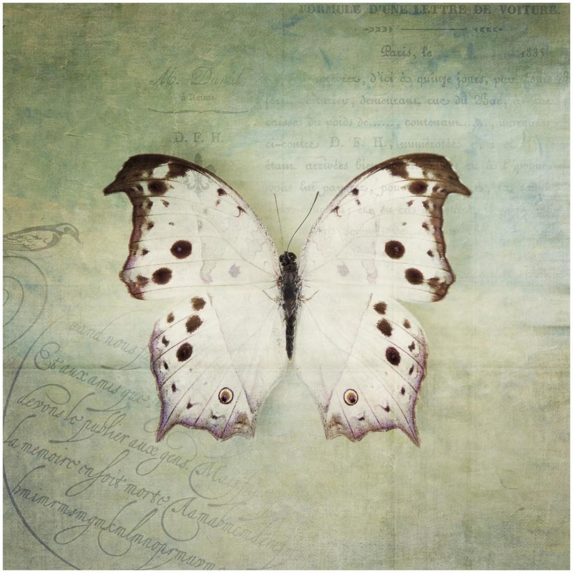 French Butterfly IV -Paper Art-32&quotx32"