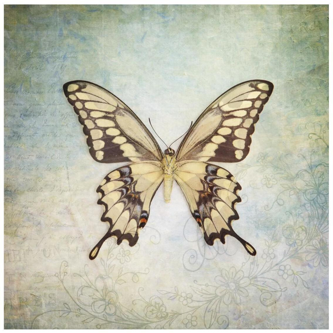 French Butterfly VI -Paper Art-26&quotx26"