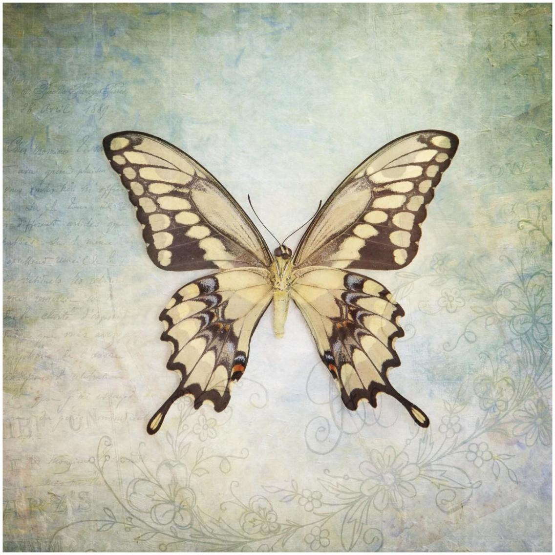 French Butterfly VI -Paper Art-32&quotx32"