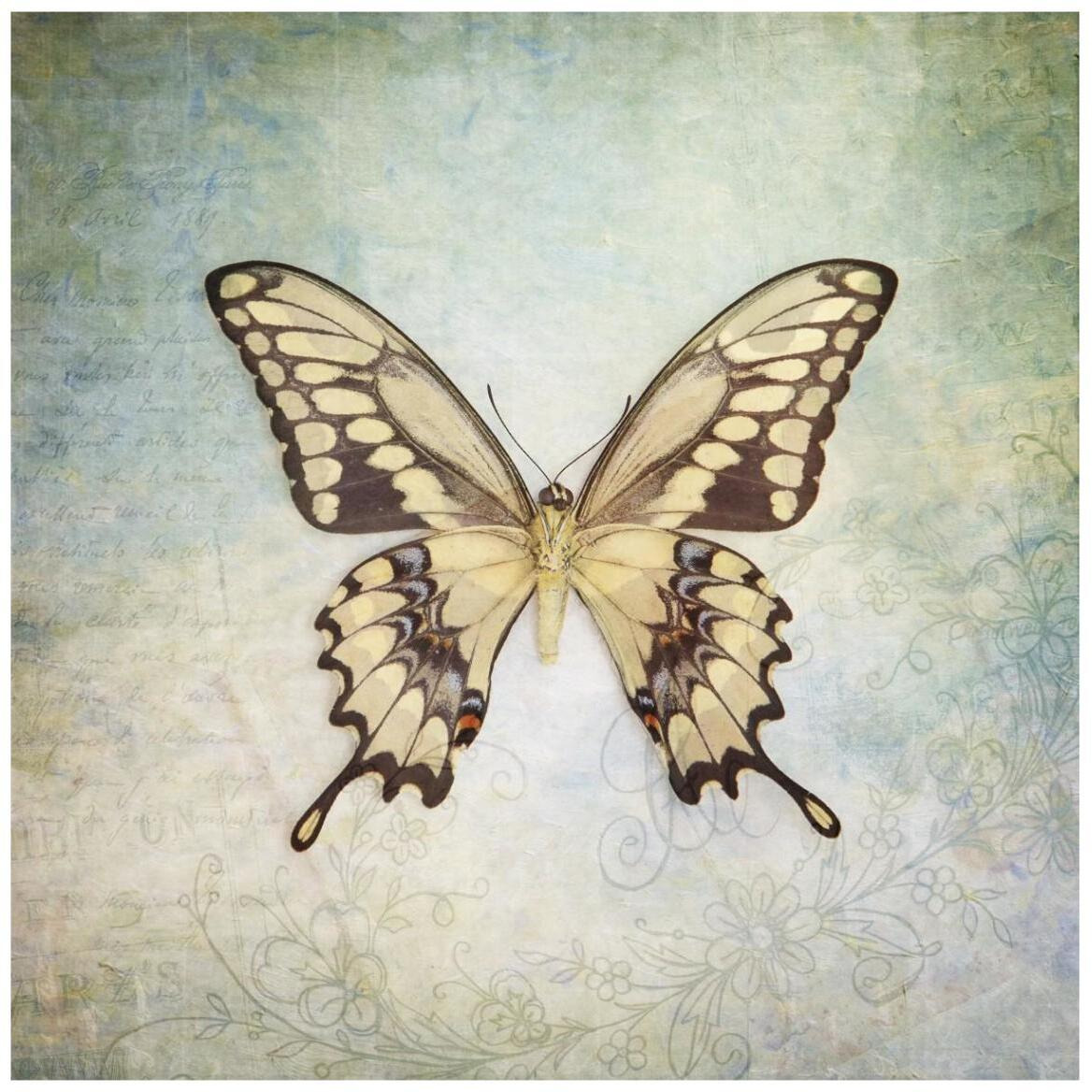 French Butterfly VI -Paper Art-42&quotx42"