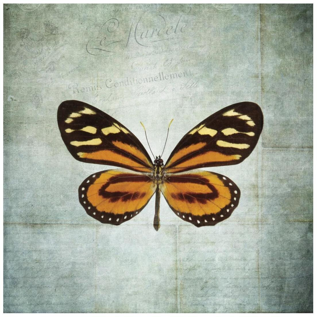 French Butterfly VIII -Paper Art-20&quotx20"
