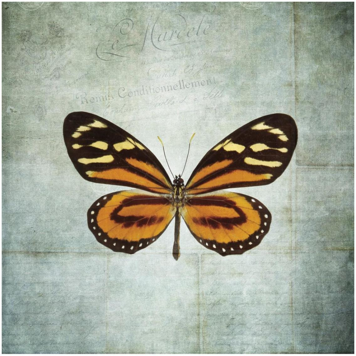 French Butterfly VIII -Paper Art-32&quotx32"