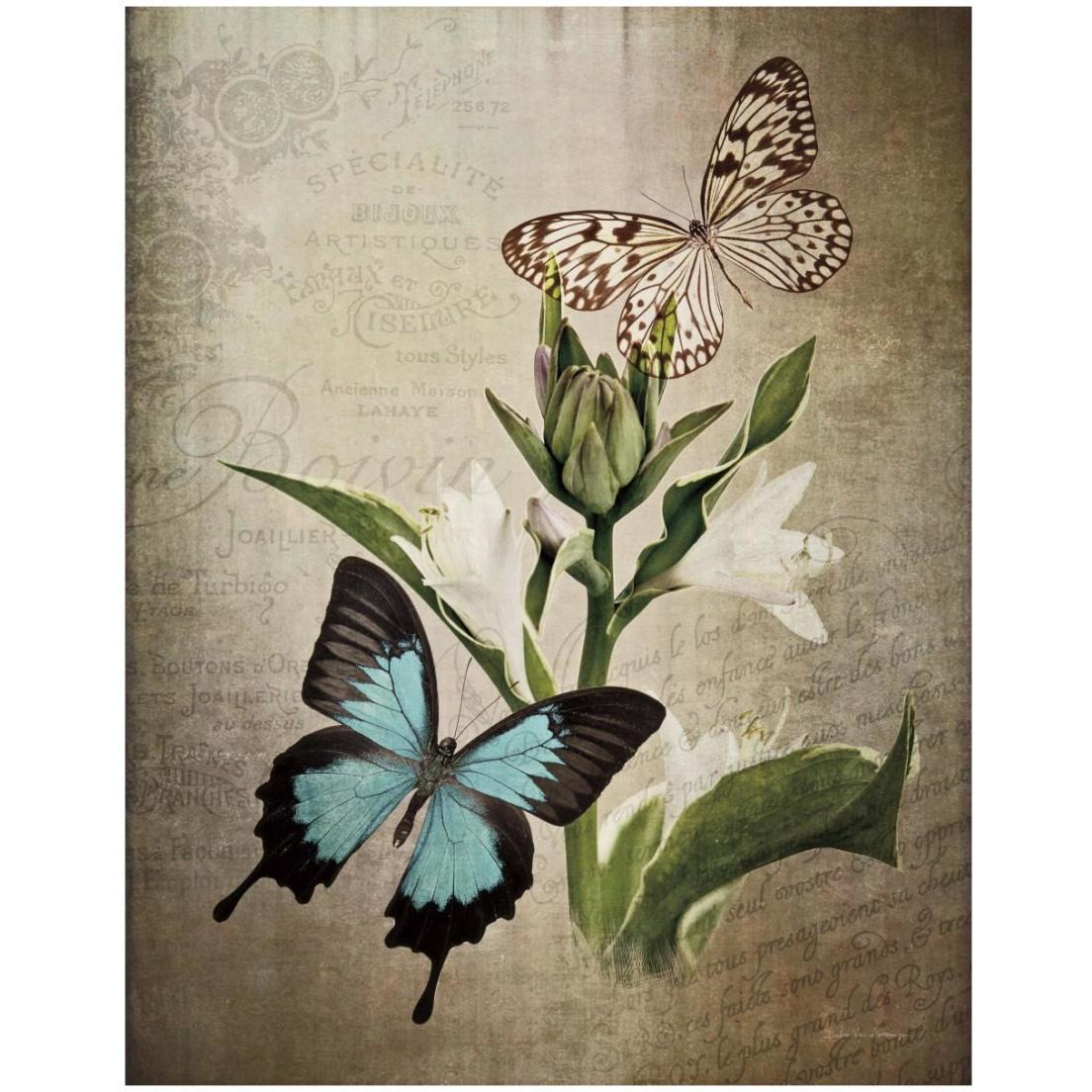 Butterfly Botanical II -Paper Art-18&quotx22"