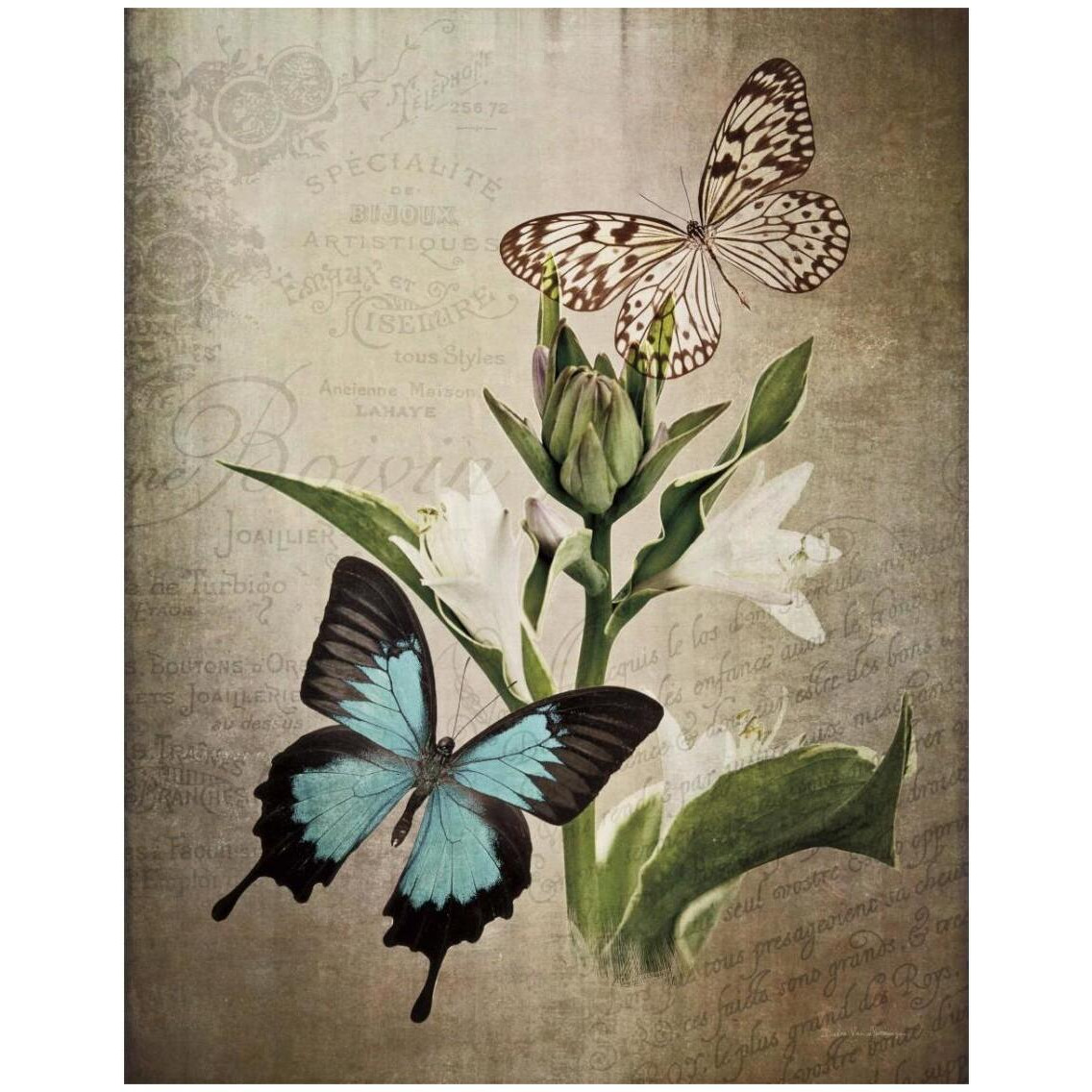 Butterfly Botanical II -Paper Art-24&quotx30"