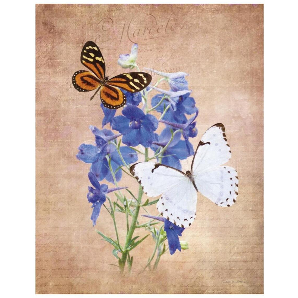 Butterfly Botanical III -Paper Art-22&quotx26"