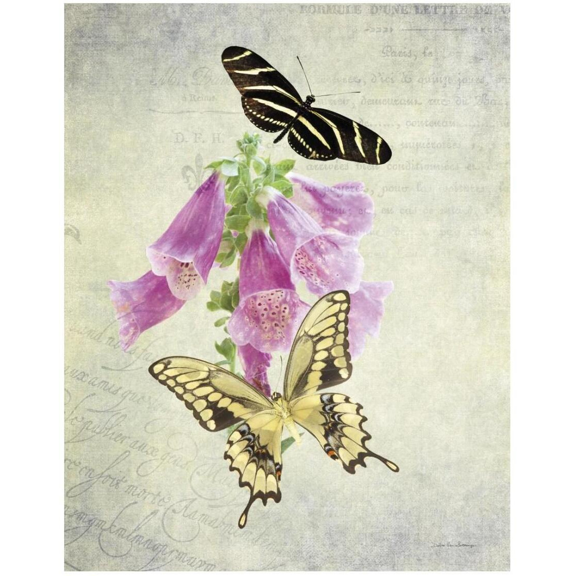 Butterfly Botanical IV -Paper Art-22&quotx26"