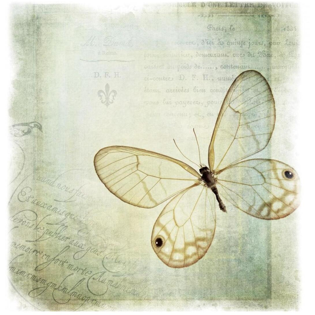 Floating Butterfly I -Paper Art-20&quotx20"