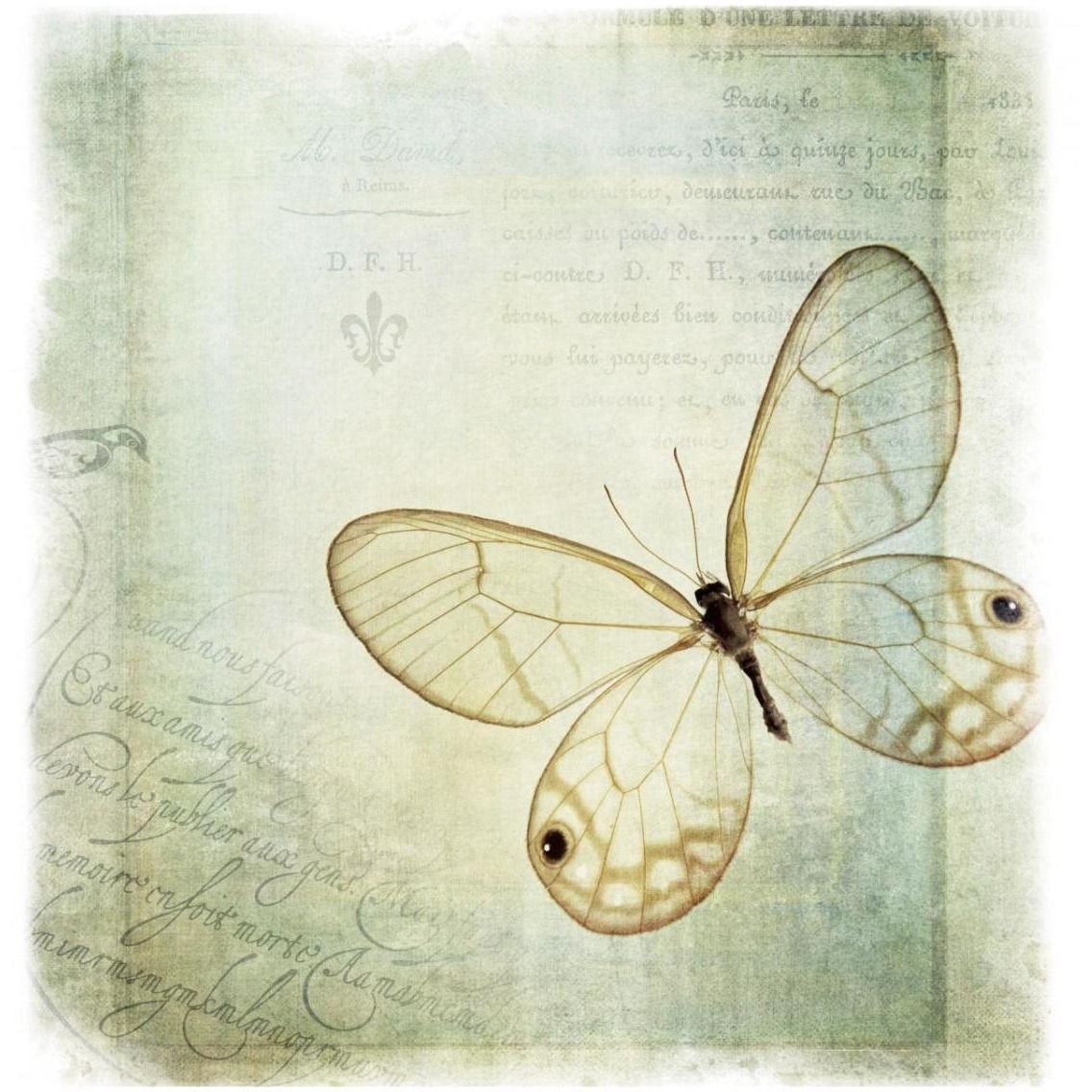 Floating Butterfly I -Paper Art-32&quotx32"