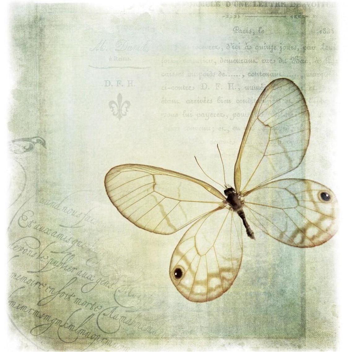 Floating Butterfly I -Paper Art-38&quotx38"