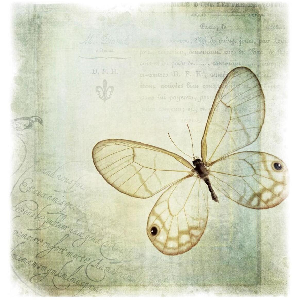 Floating Butterfly I -Paper Art-42&quotx42"