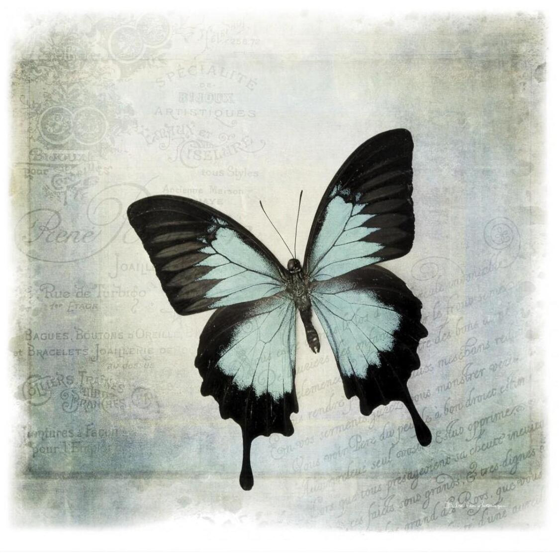Floating Butterfly III -Paper Art-32&quotx32"