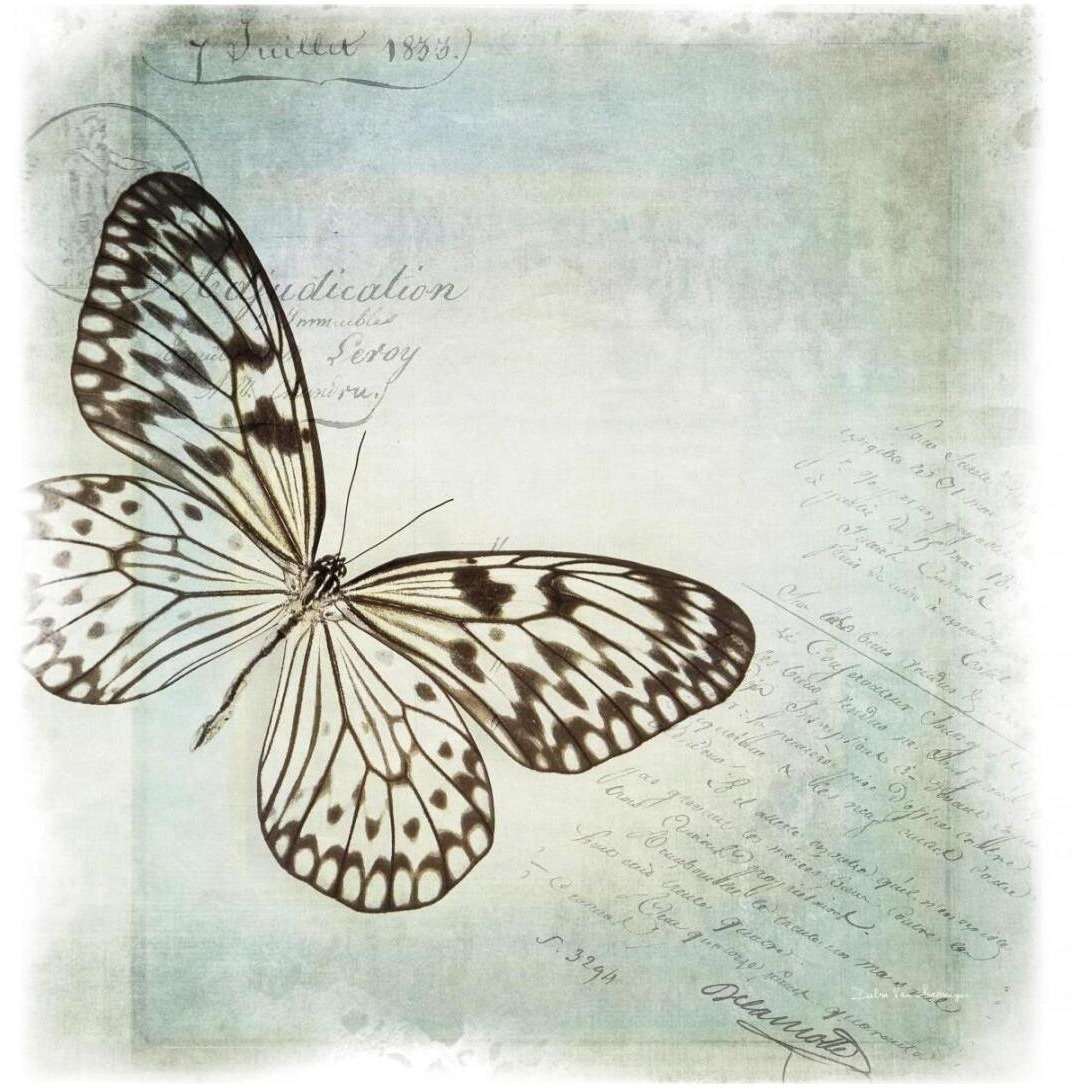 Floating Butterfly IV -Paper Art-20&quotx20"