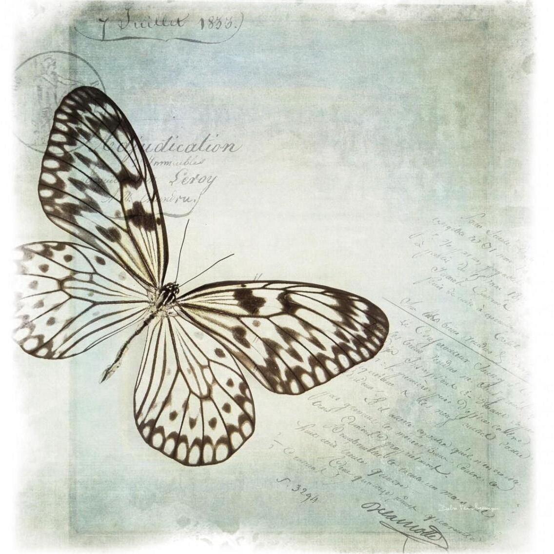 Floating Butterfly IV -Paper Art-38&quotx38"