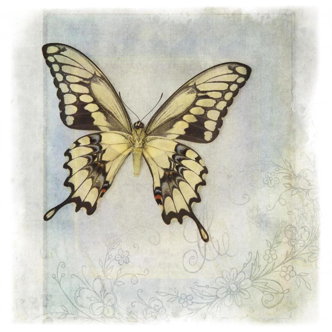 Floating Butterfly V -Paper Art-42&quotx42"