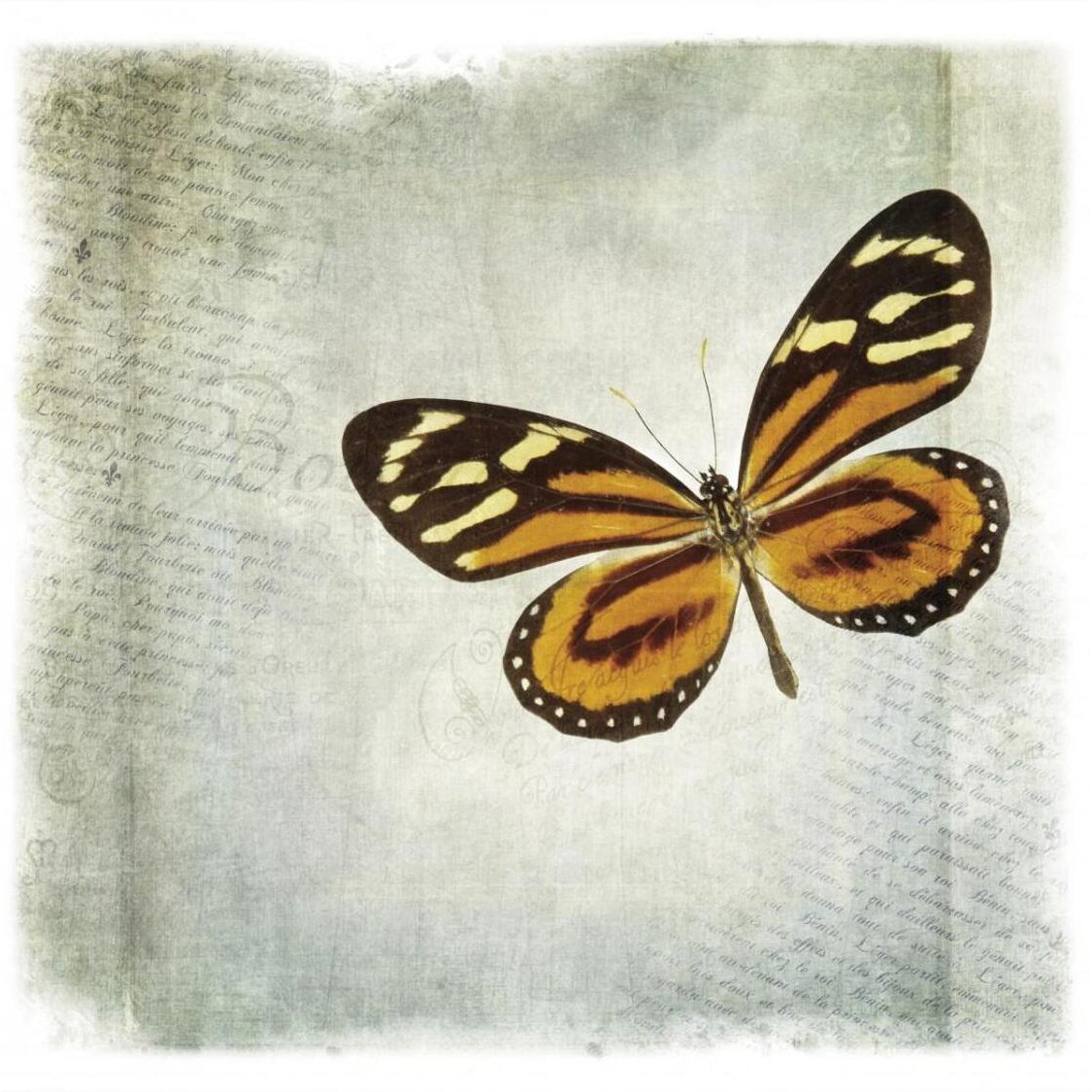 Floating Butterfly VI -Paper Art-32&quotx32"