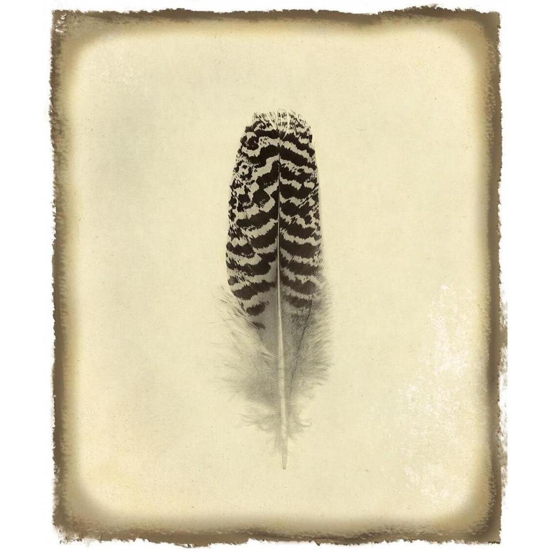 Feather I Vintage -Paper Art-27.2&quotx32"