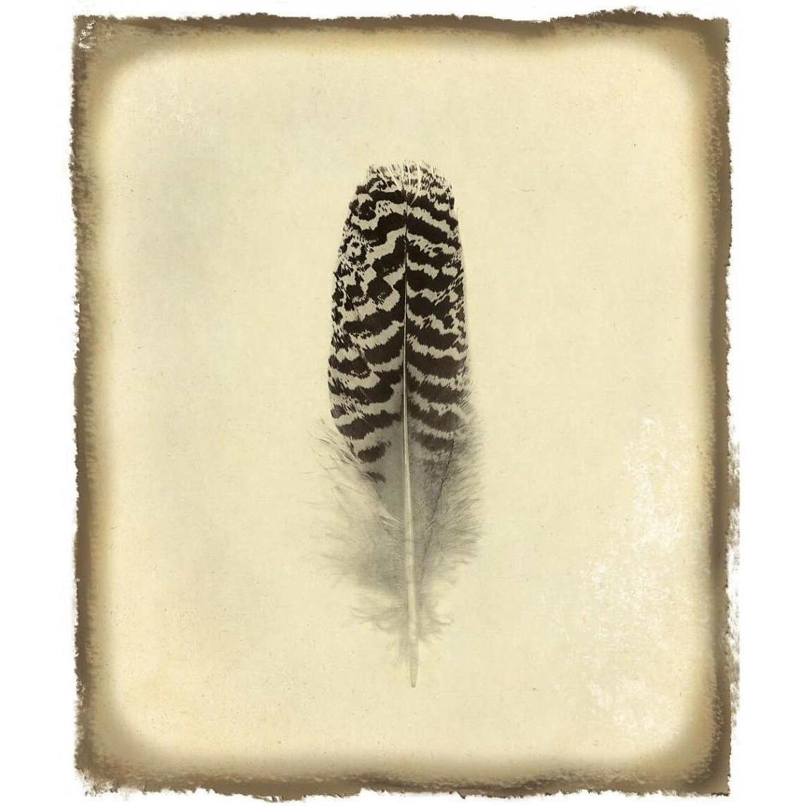 Feather I Vintage -Paper Art-35.6&quotx42"