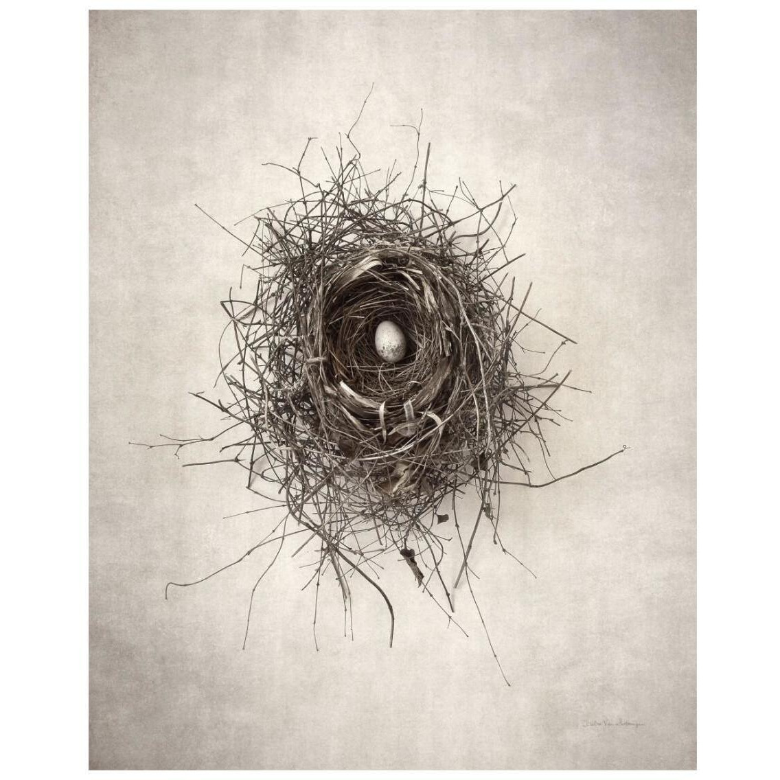 Nest I -Paper Art-22&quotx26"