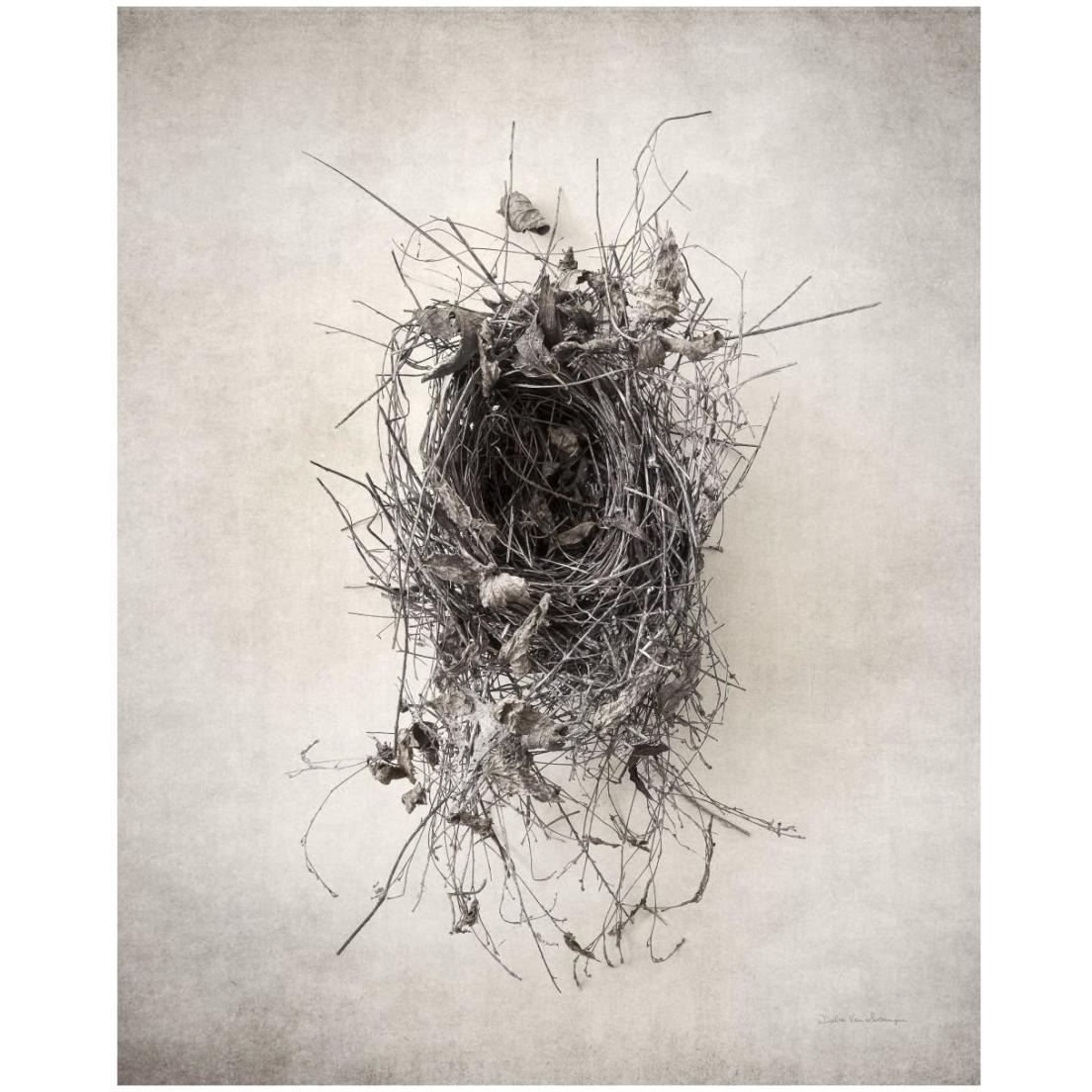 Nest II -Paper Art-18&quotx22"