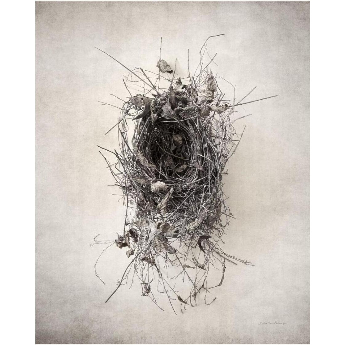 Nest II -Paper Art-24&quotx30"