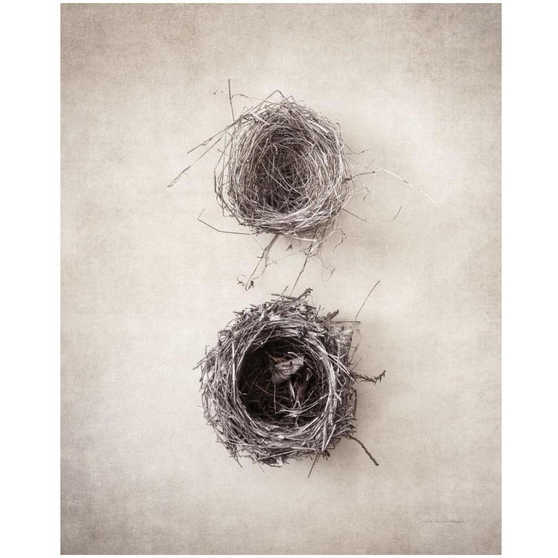 Nest IV -Paper Art-22&quotx26"