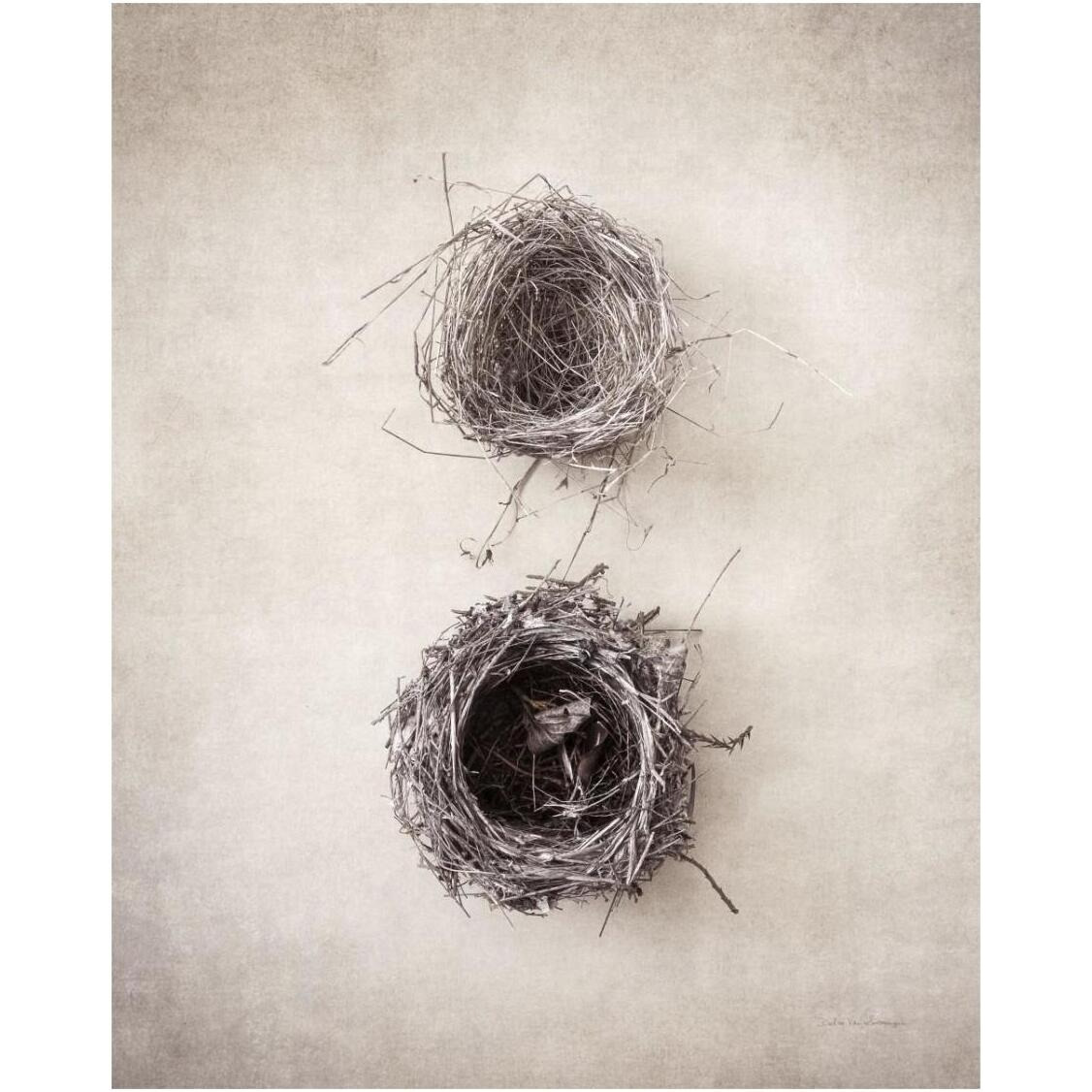Nest IV -Paper Art-24&quotx30"