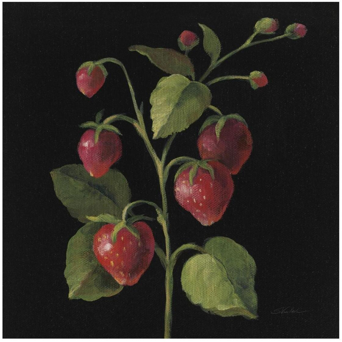 Fraise no Words -Paper Art-26&quotx26"