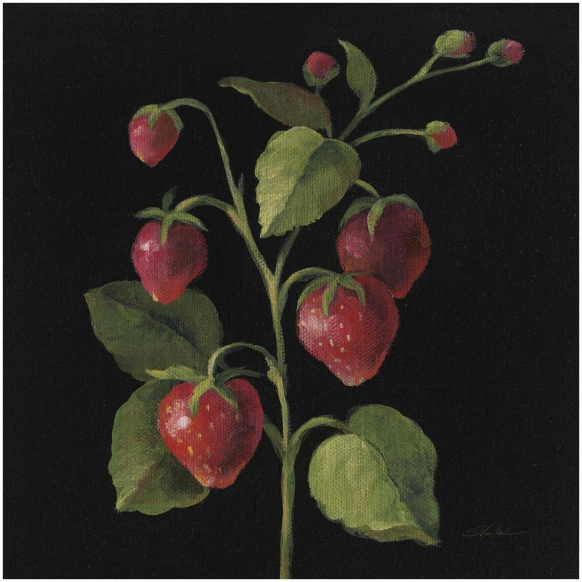 Fraise no Words -Paper Art-32&quotx32"