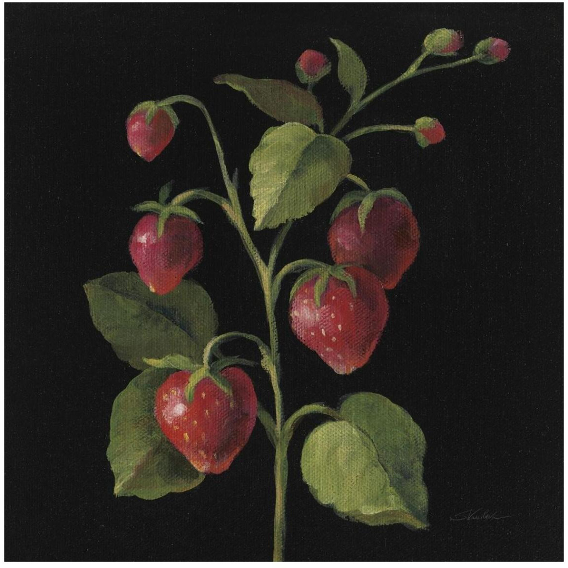 Fraise no Words -Paper Art-42&quotx42"