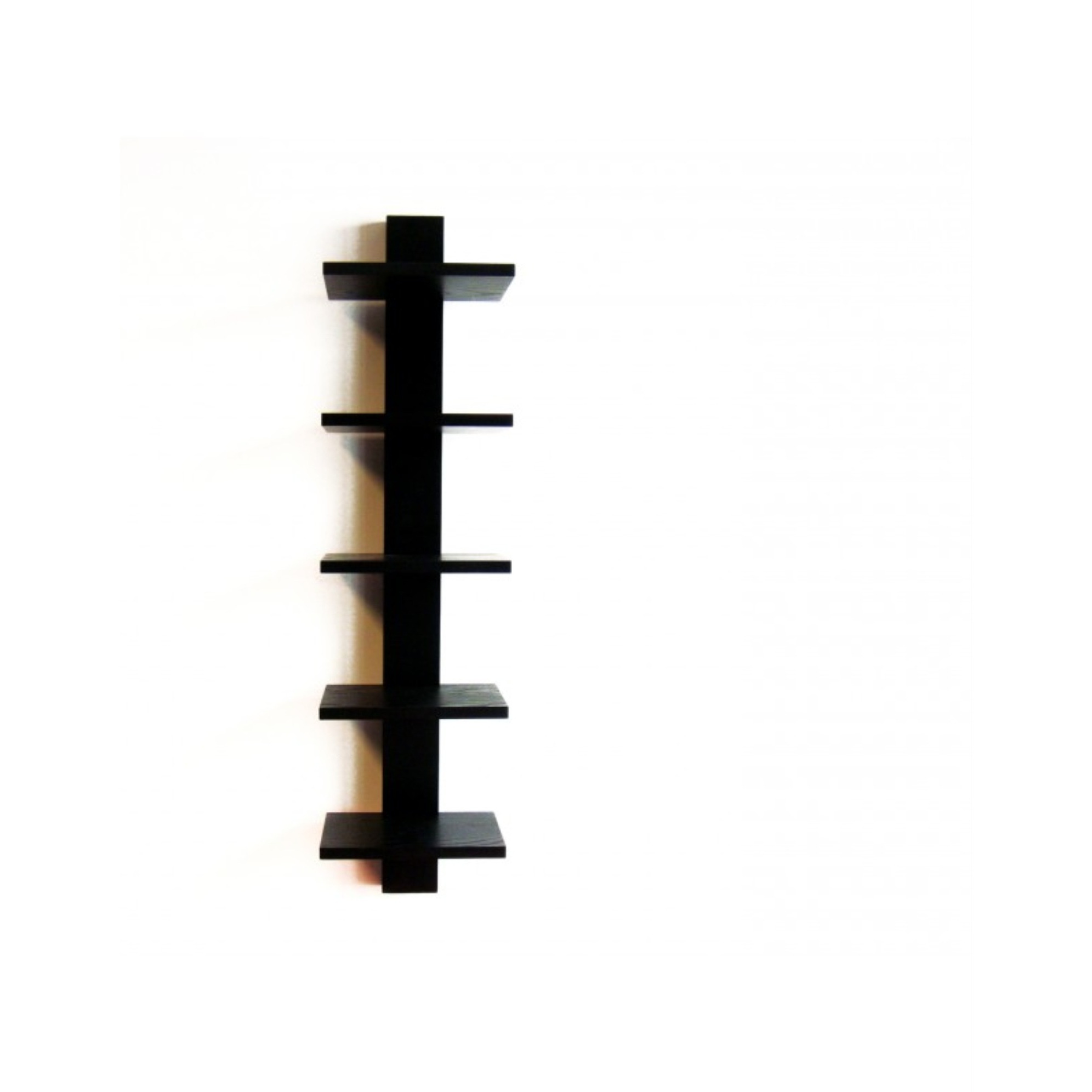 Spine Book Shelf