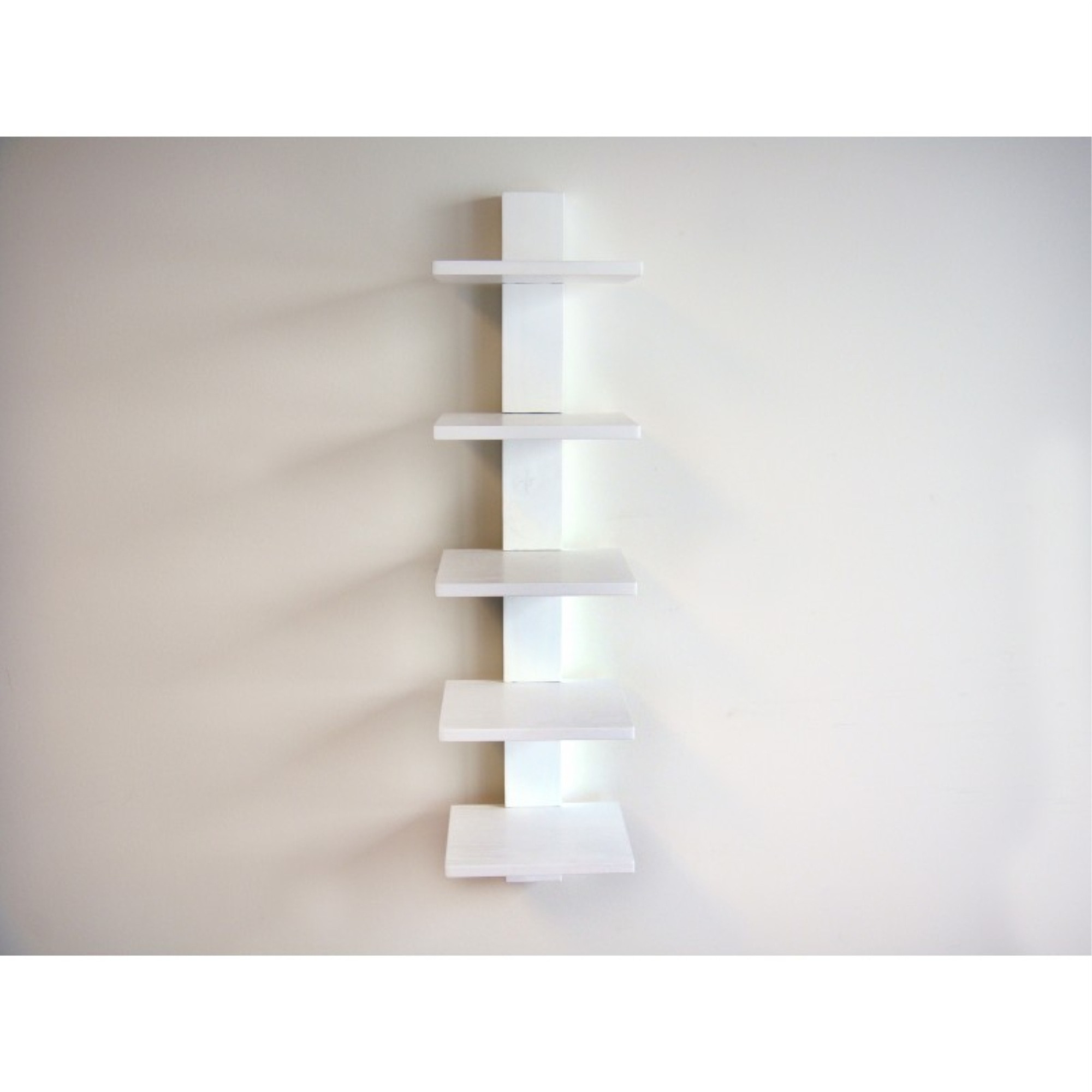 Spine Book Shelf